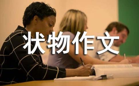 д״�����ľ���[15ƪ]