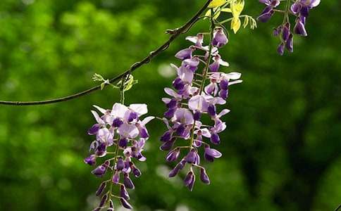 ���ٻ��̰�12ƪ