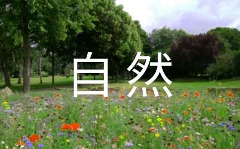 �����Ȼ����