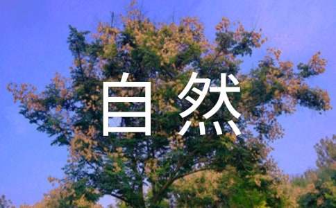 ������Ȼ��������