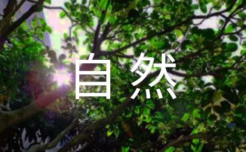 ������Ȼ����600�ּ�����ƪ