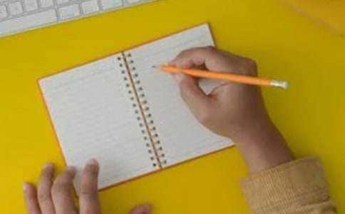 【精华】小鸡写作文300字集合7篇