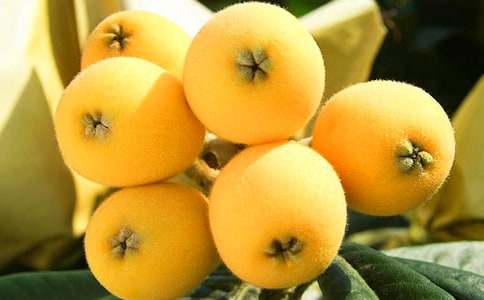 ժ��������15ƪ��ʵ�á�