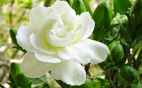 ���ӻ��Ļ���ʹ�˵-�ʻ�����