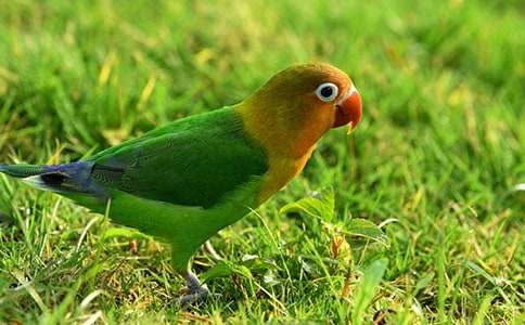 �����䡿�ɰ�����������15ƪ