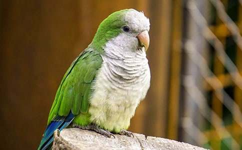 ������д��������