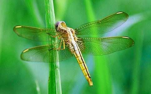 (�ر�)ץ��������