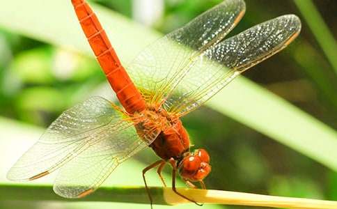 ���ѵ����ĳ��á�15ƪ��