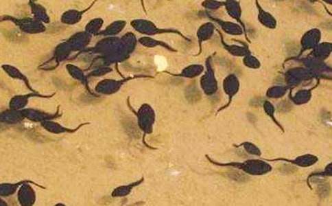 С���������̰�15ƪ��ͨ�á�