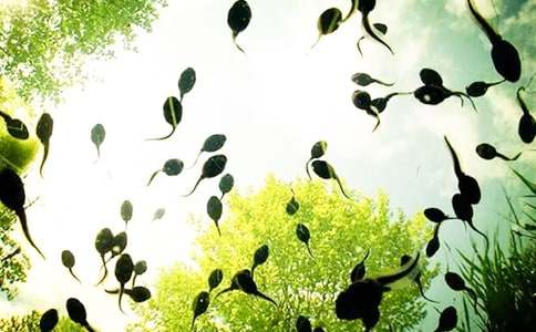 �й�С���������̰�����ʮƪ