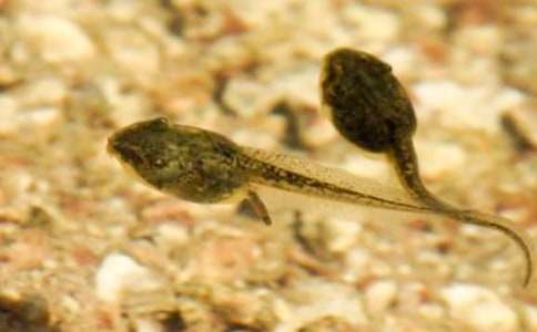 �����С���������̰���ͨ��5ƪ��