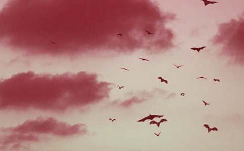 ������״�̰����9ƪ