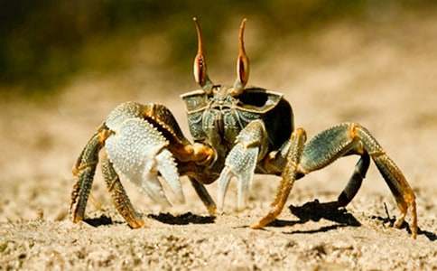 ������Խ̰���С�з�ҹ�����