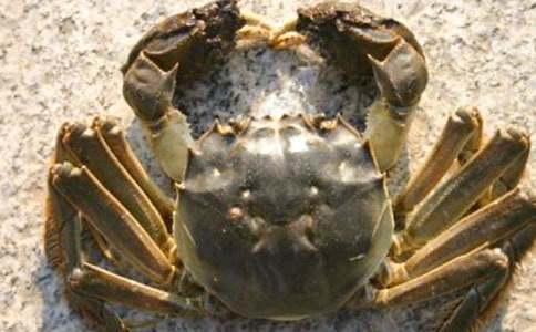 ���з���򡷴����Ϸ��̰�