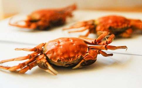 ���¶���С�з�������(ʵ��)