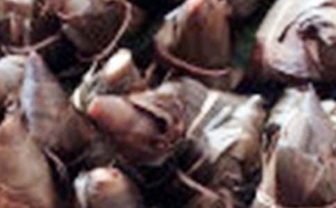 ���ӵĹ�����ѡ320�䣩