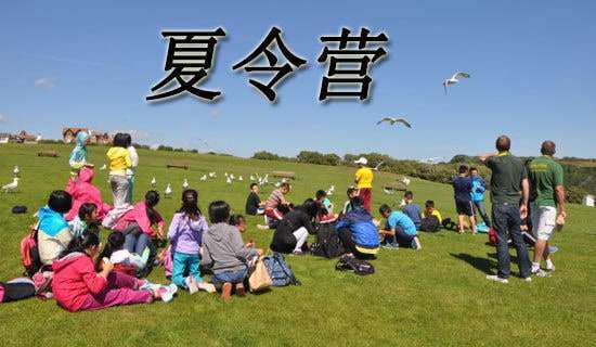 [��]����Ӫ������ӭ��