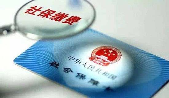 �籣���չ����ܽ�(���15ƪ)