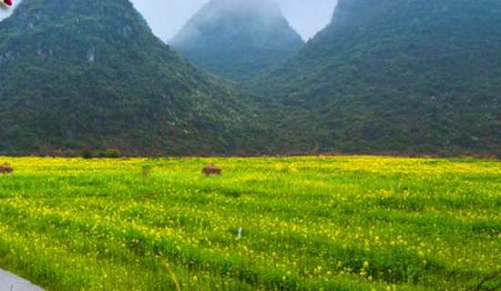 �������β߻���