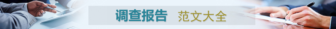 ���鱨��