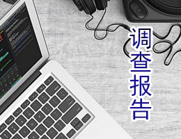 ���鱨��